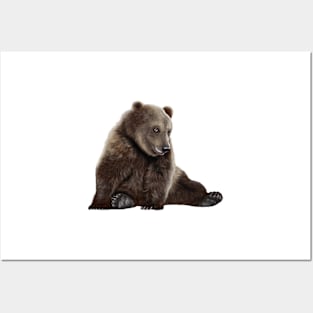 Brown Bear Posters and Art